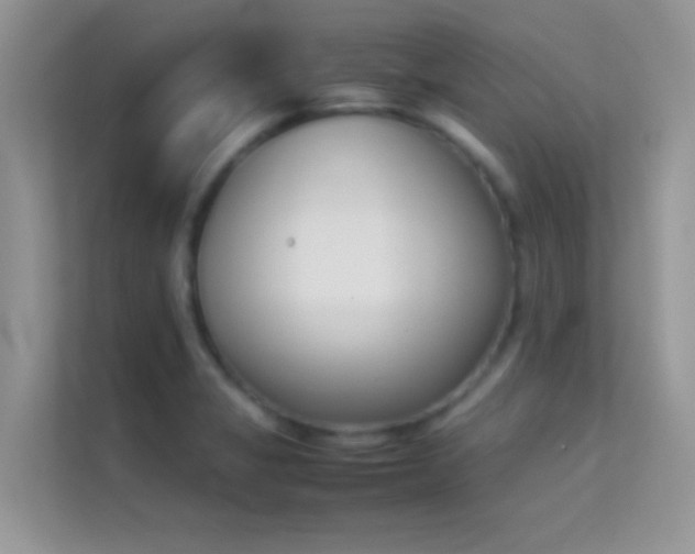 X0000114231325200910091440