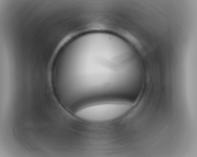 X0000114231326200910091440