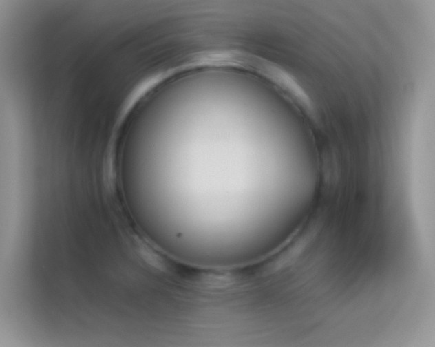 X0000114231328200910091440