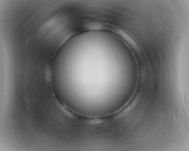 X0000114231329200910091440