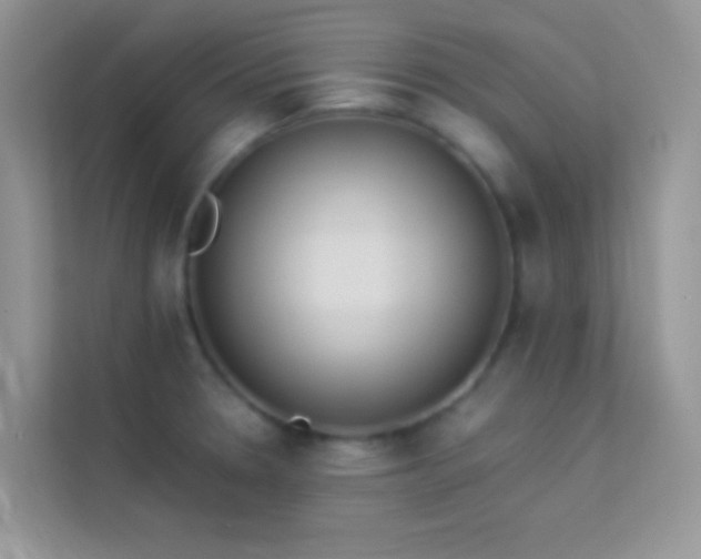 X0000114231330200910091440