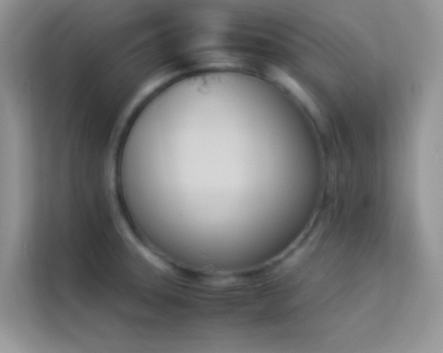 X0000114231331200910091441