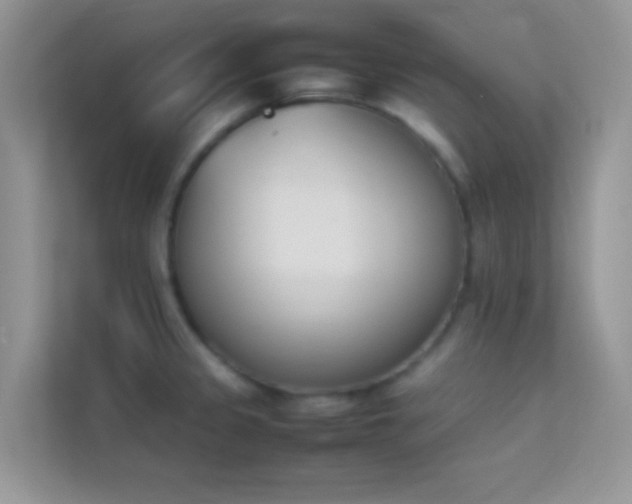 X0000114231333200910091441