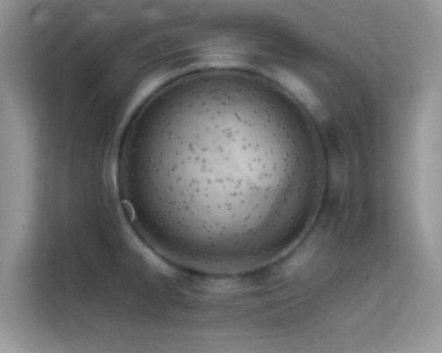 X0000114231334200910091441