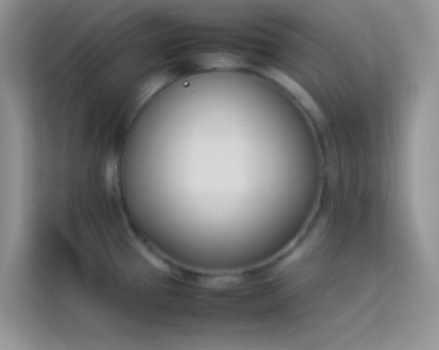X0000114231337200910091441