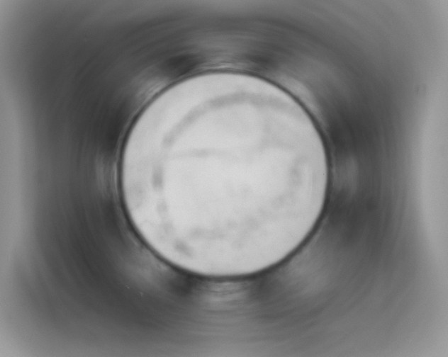 X0000114231338200910091441