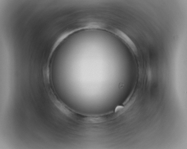 X0000114231340200910091441