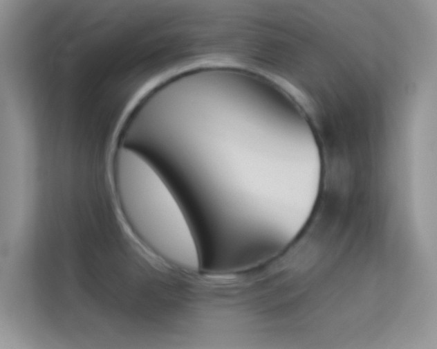 X0000114231342200910091441