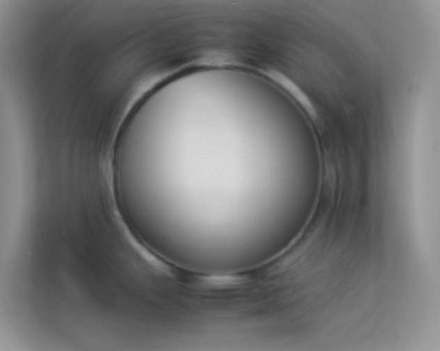 X0000114231343200910091441