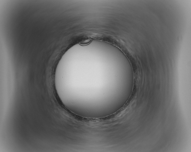 X0000114231345200910091440