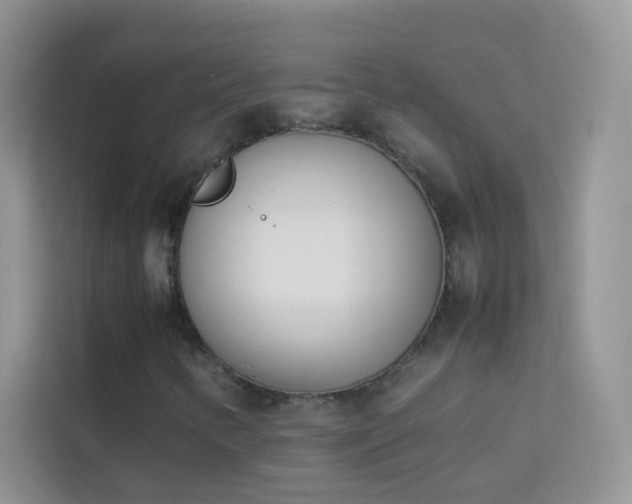 X0000114231346200910091440