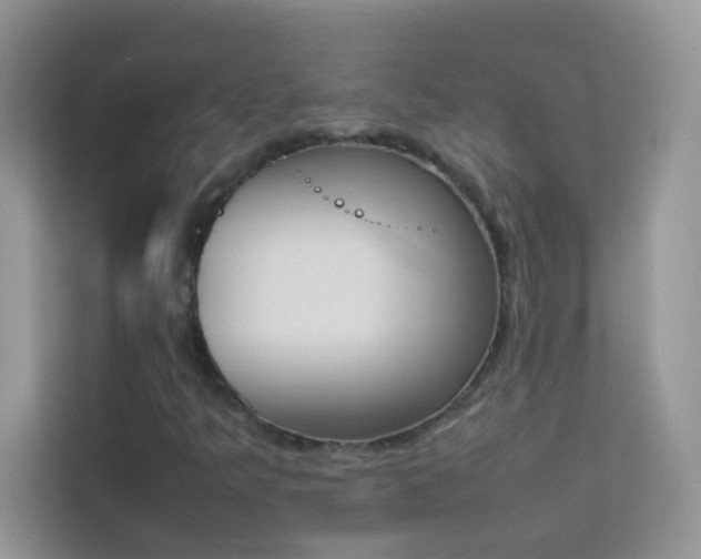 X0000114231349200910091440