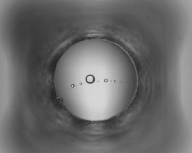 X0000114231351200910091440