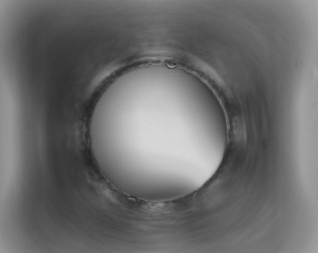 X0000114231352200910091440