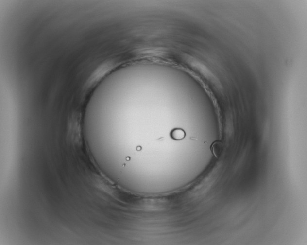 X0000114231354200910091440