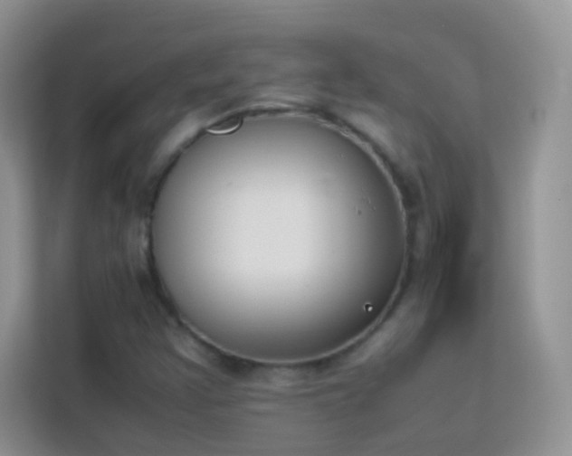 X0000114231355200910091440