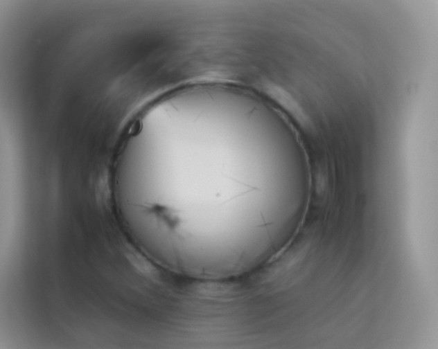 X0000114231356200910091440
