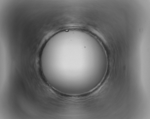 X0000114231357200910091440