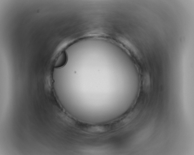 X0000114231358200910091440