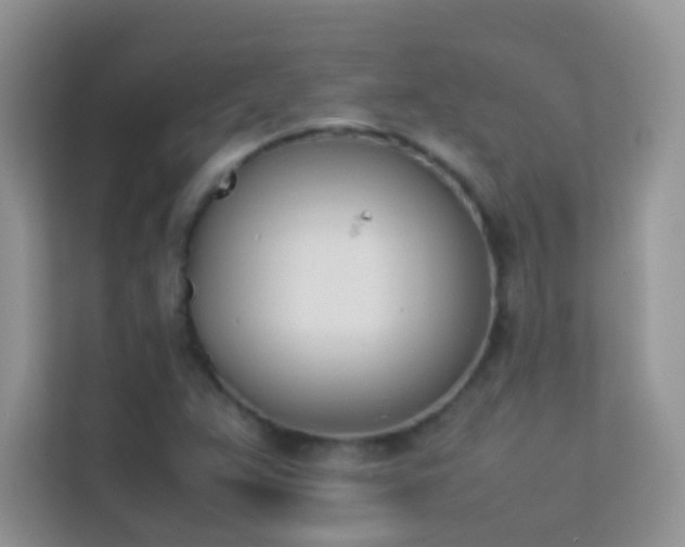 X0000114231359200910091440