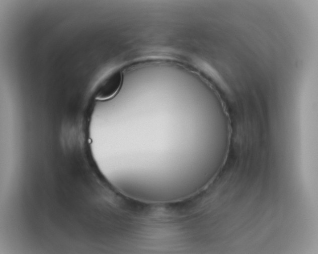 X0000114231360200910091440