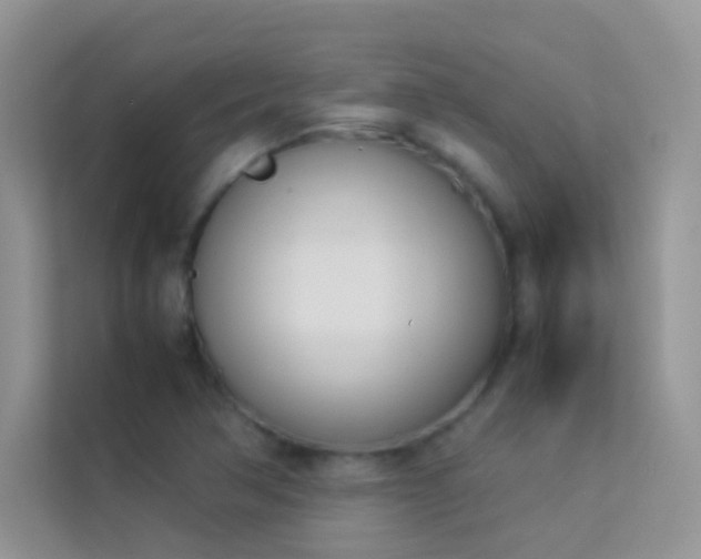 X0000114231362200910091440