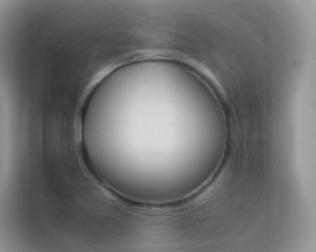 X0000114231365200910091440