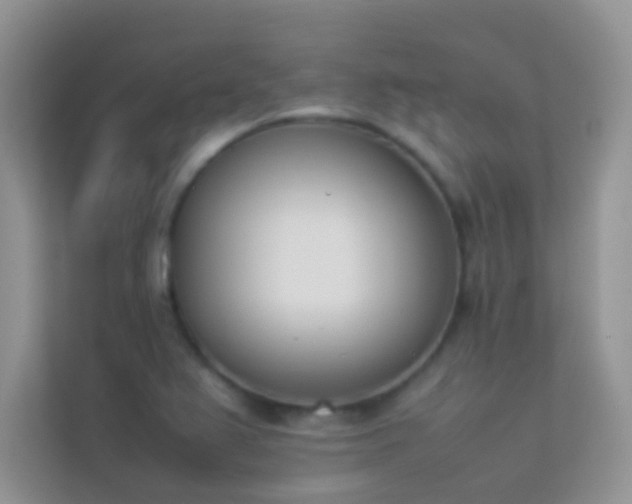 X0000114231367200910091440