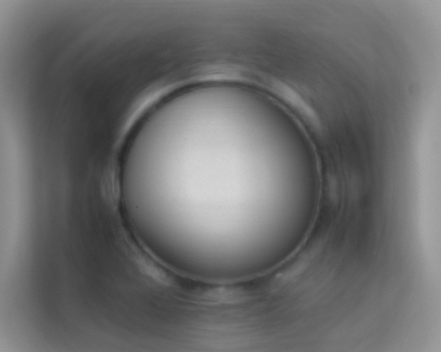 X0000114231368200910091440