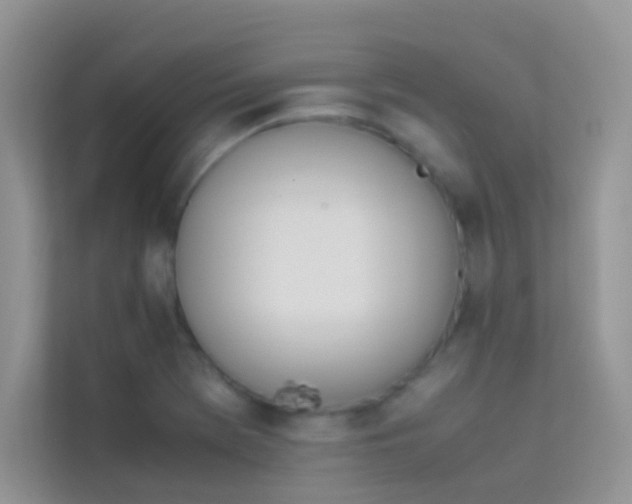 X0000114231369200910091440