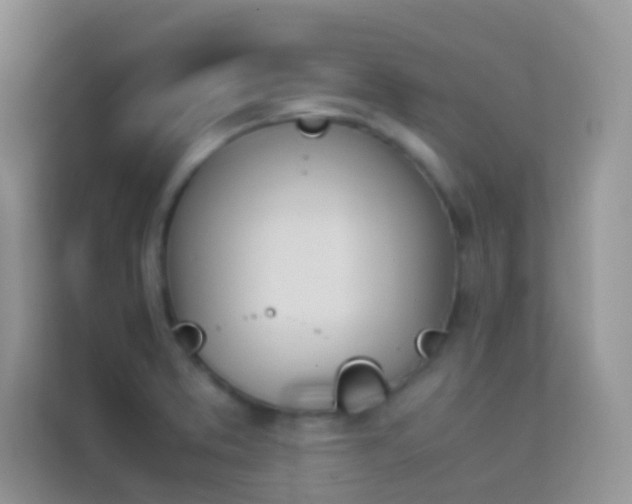 X0000114231373200910091440