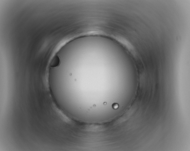 X0000114231374200910091440