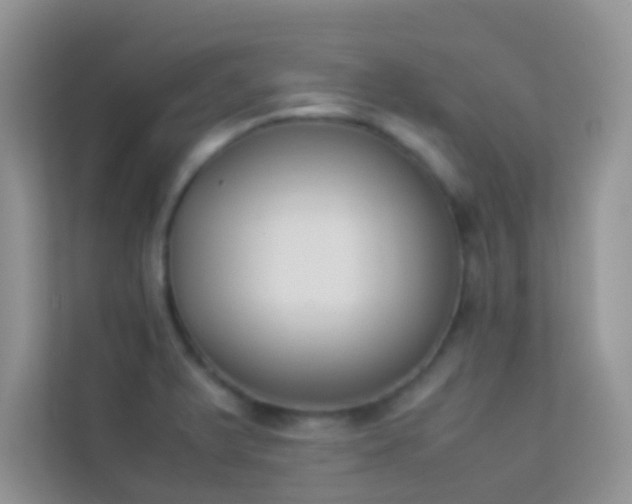X0000114231375200910091440