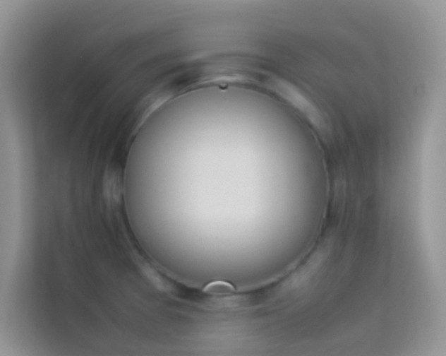 X0000114231377200910091440