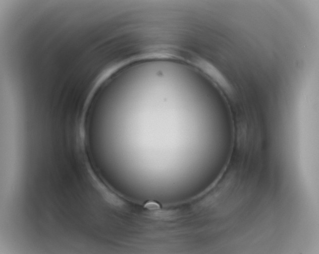 X0000114231380200910091440