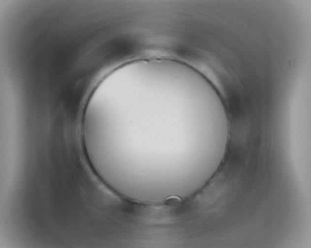 X0000114231381200910091440