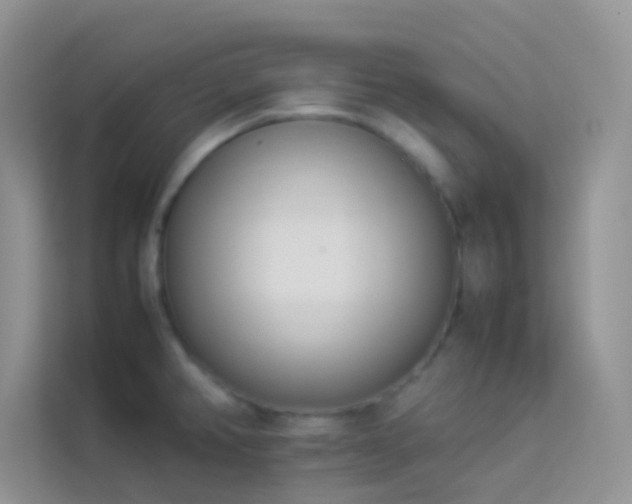 X0000114231382200910091440