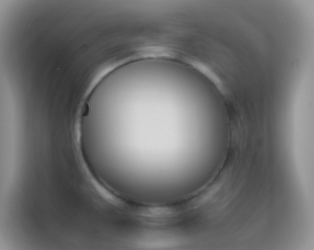 X0000114231383200910091440