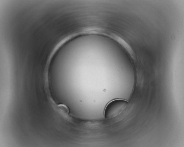 X0000114231384200910091440