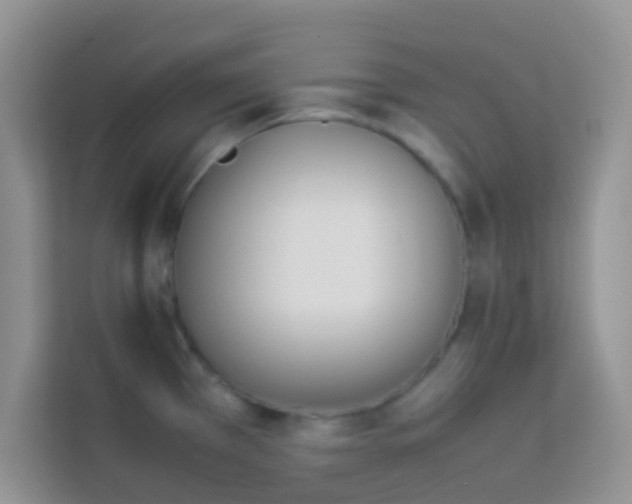 X0000114231385200910091440