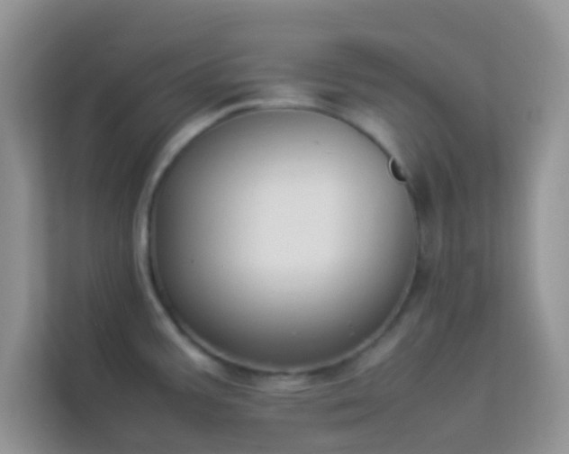 X0000114231387200910091440