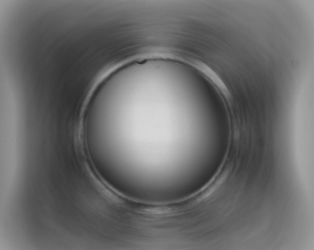 X0000114231388200910091439