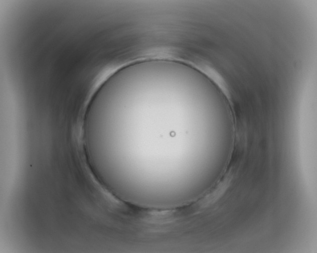 X0000114231389200910091439