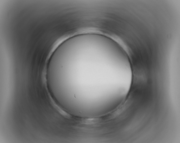 X0000114231390200910091439