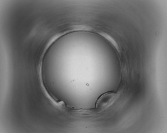 X0000114231391200910091439