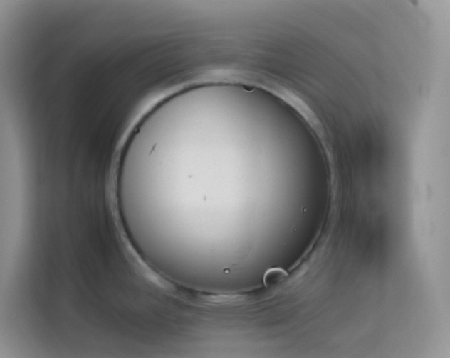 X0000114231392200910091439