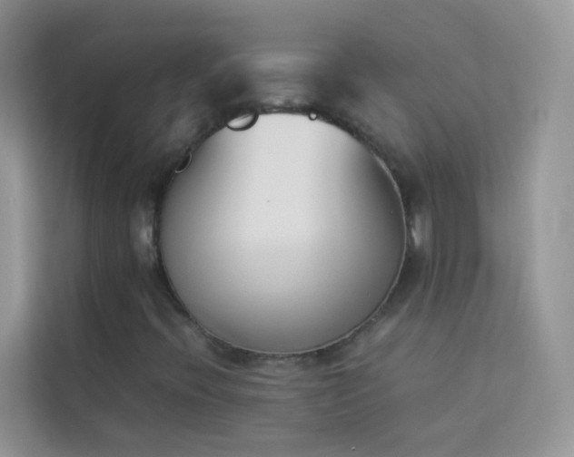 X0000114231396200910091439