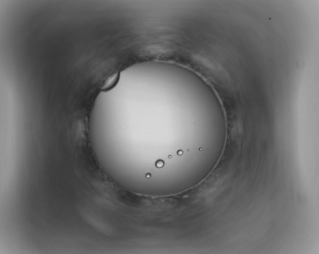 X0000114231397200910091439