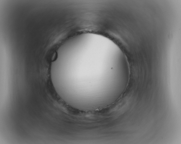 X0000114231399200910091439