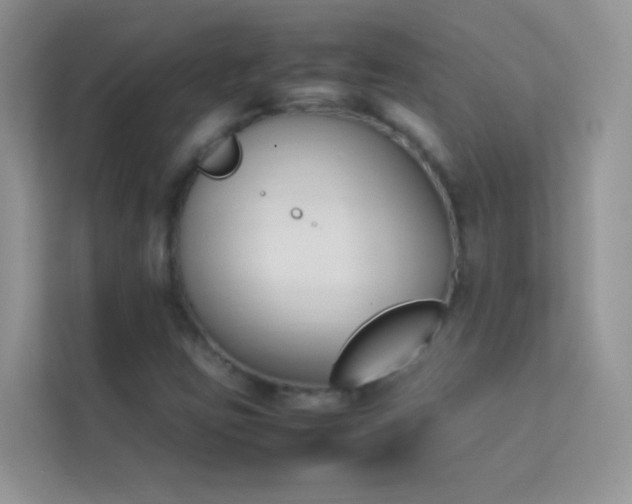 X0000114231403200910091439